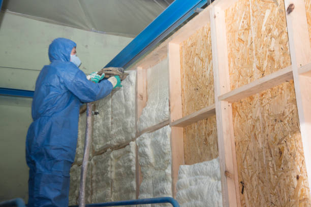 Best Soundproof Insulation Installation  in USA